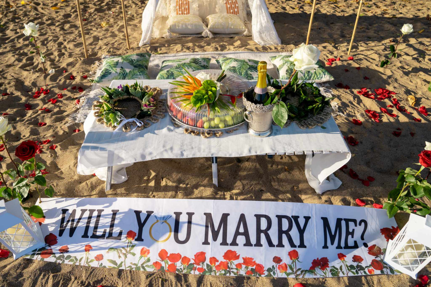 Beach Wedding Proposals