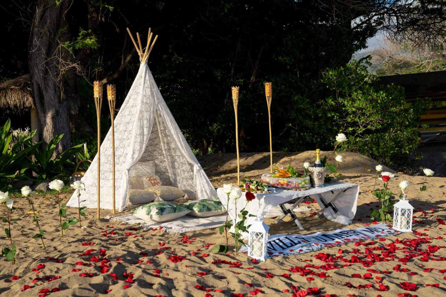 Beach Wedding Proposals