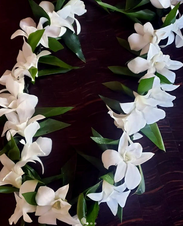 Leis