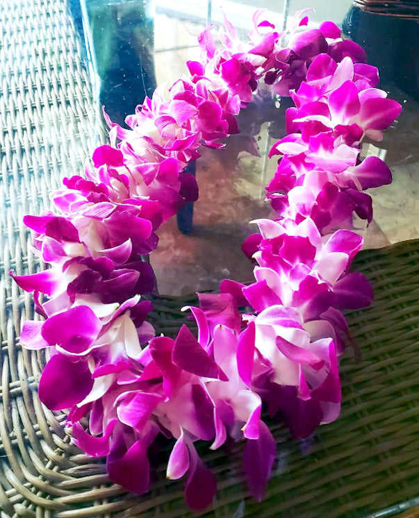 Leis
