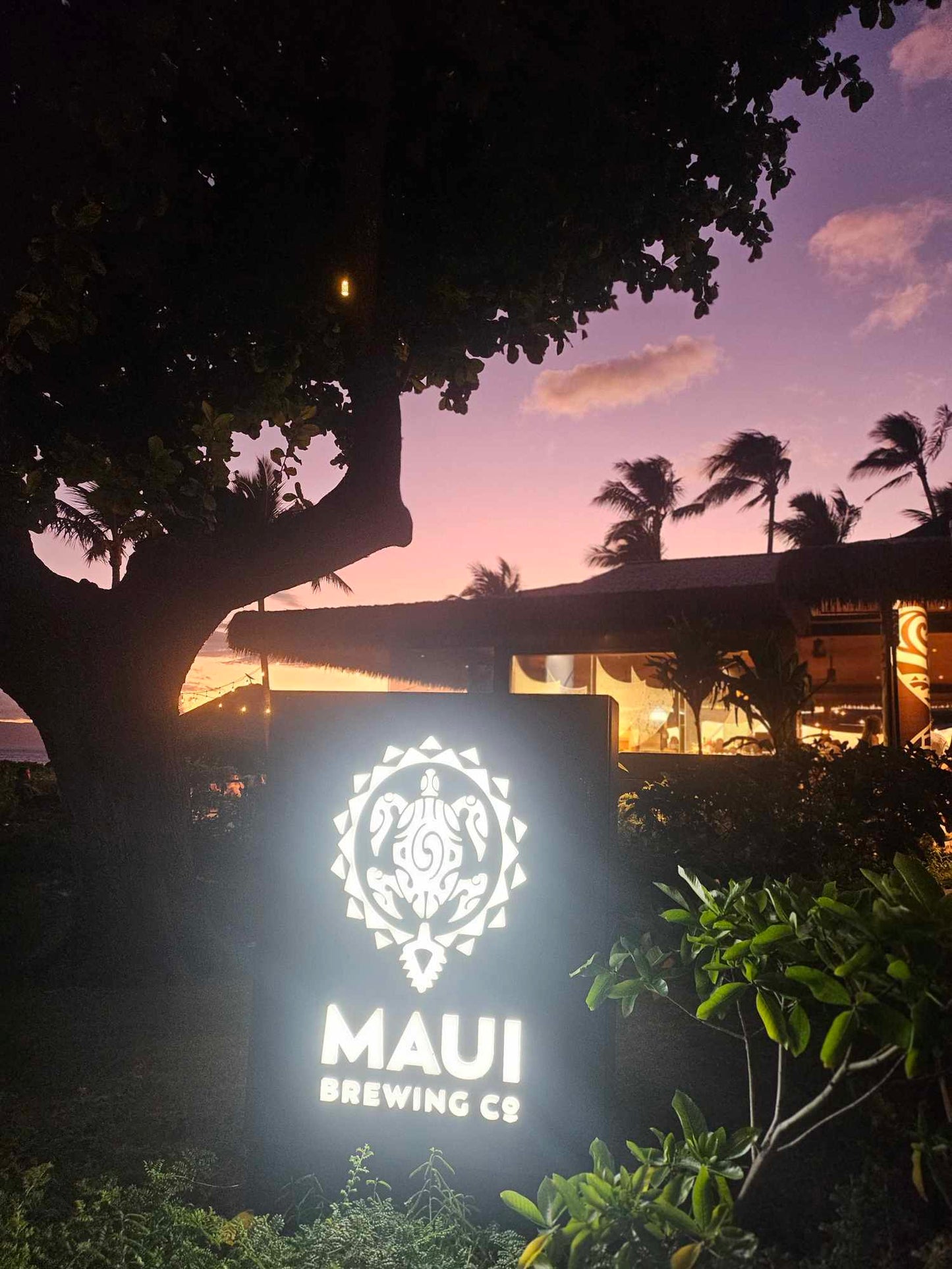 Maui Brewing Co