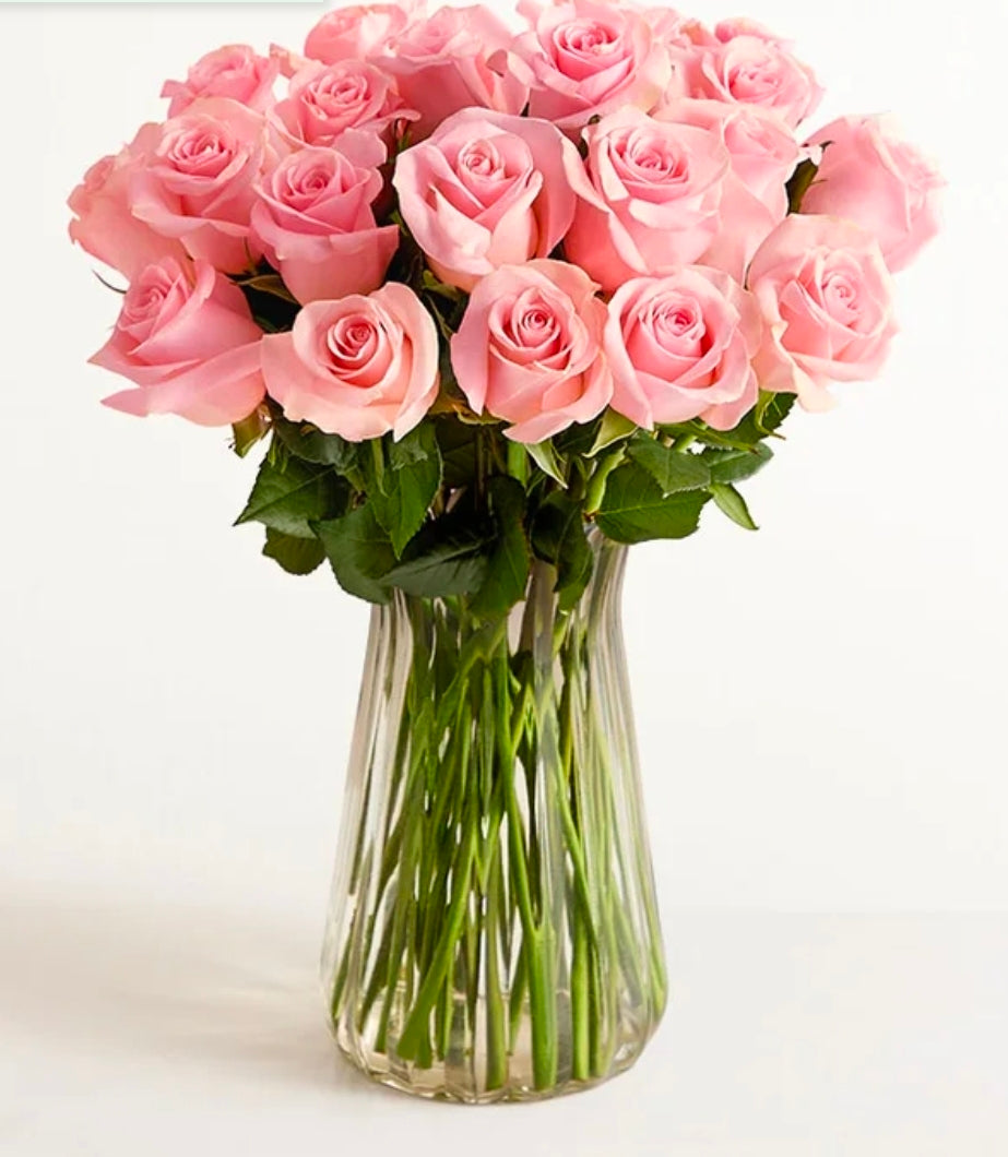 Two Dozen
