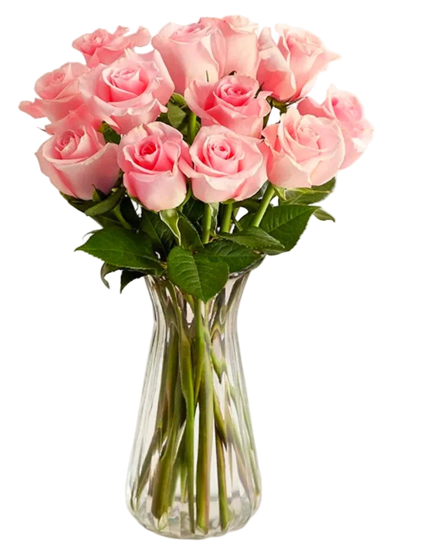 One Dozen Roses Arrangement in a vase