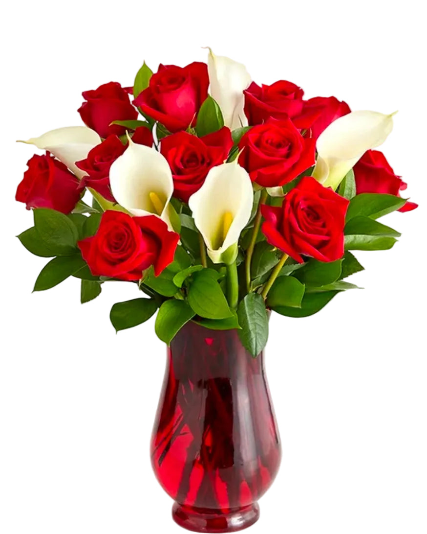 One Dozen Roses Arrangement in a vase